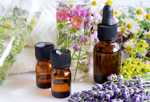 Essential oils for Ants