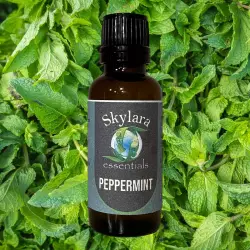 Peppermint Essential Oils for pest control