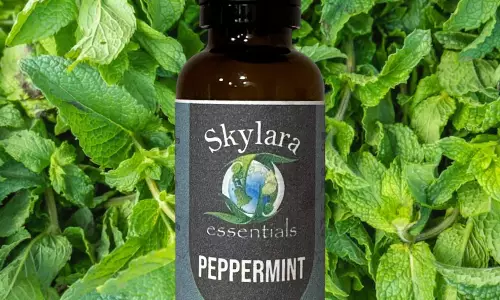 Peppermint Essential Oils for pest control