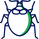 Bed bug exterminator in Kansas City