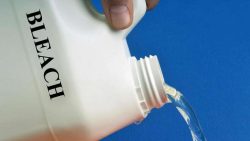 Bleach for Pest control