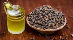 Clove Oil for pest