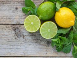 Citrus for rodent repellant
